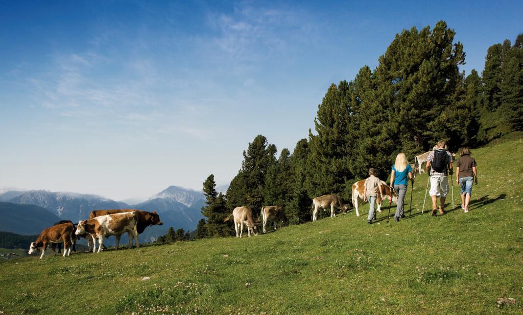Ferienwohnungen Haus Daheim Längenfeld Buitenkant foto